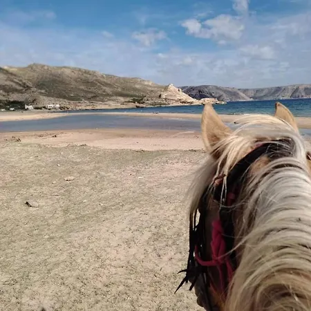 Caballo De Mar Frison Cabo De Gata * San Jose (Almeria)